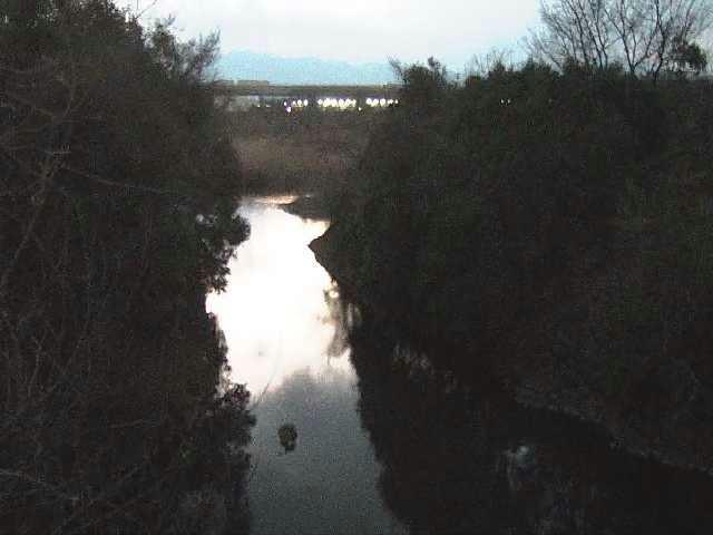 鳩川 海老名分水路付近のカメラ画像