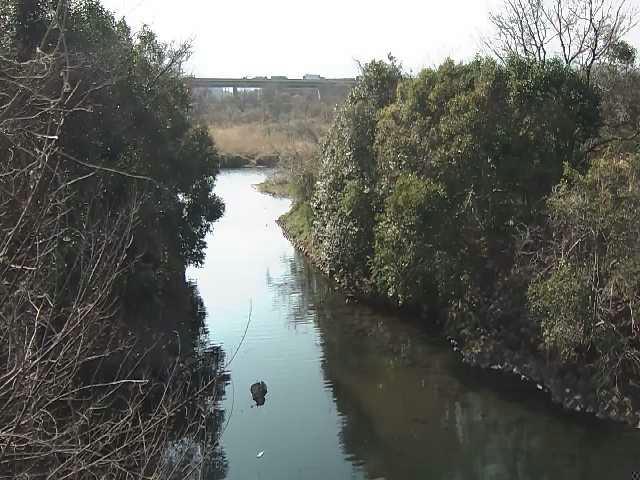 海老名分水路付近のカメラ画像
