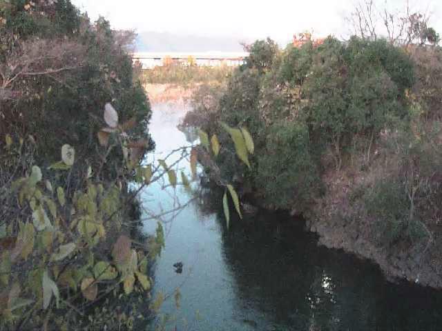 鳩川 海老名分水路付近のカメラ画像