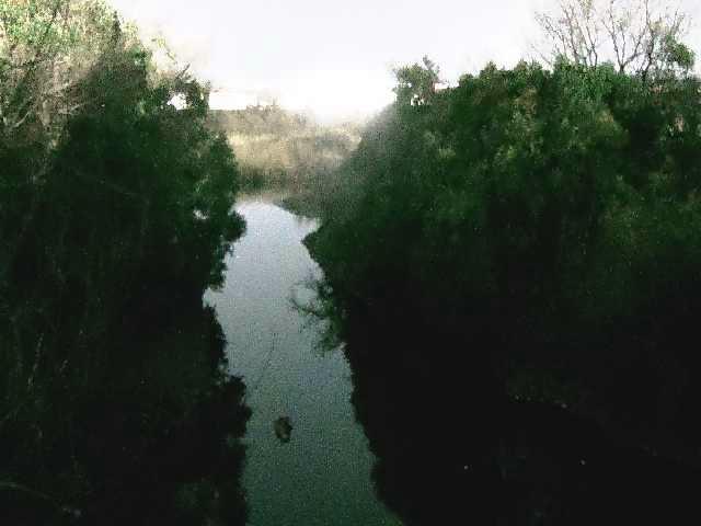 海老名分水路付近のカメラ画像