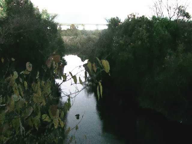 海老名分水路付近のカメラ画像