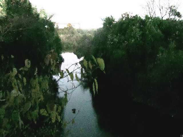 鳩川 海老名分水路付近のカメラ画像