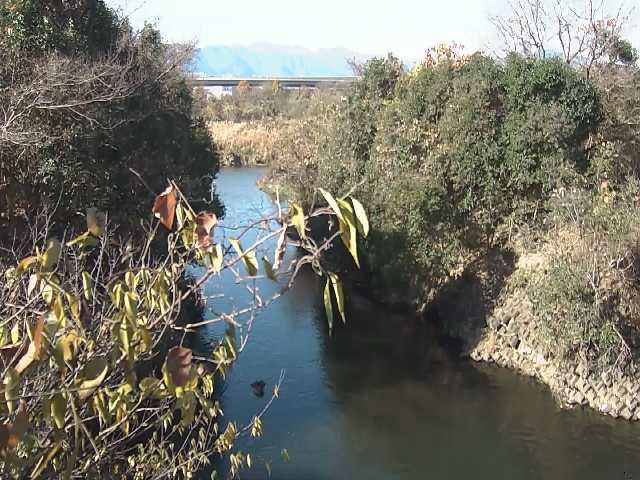 海老名分水路付近のカメラ画像