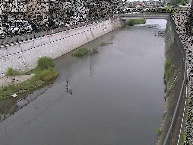 大山橋付近のカメラ画像
