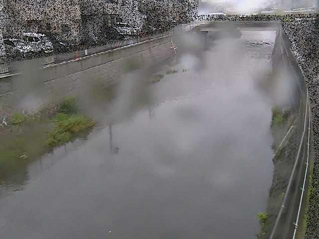 大山橋付近のカメラ画像