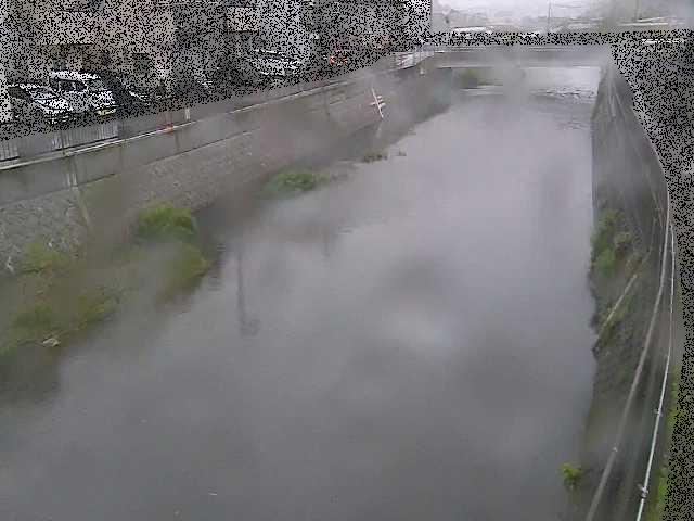 引地川 大山橋付近のカメラ画像