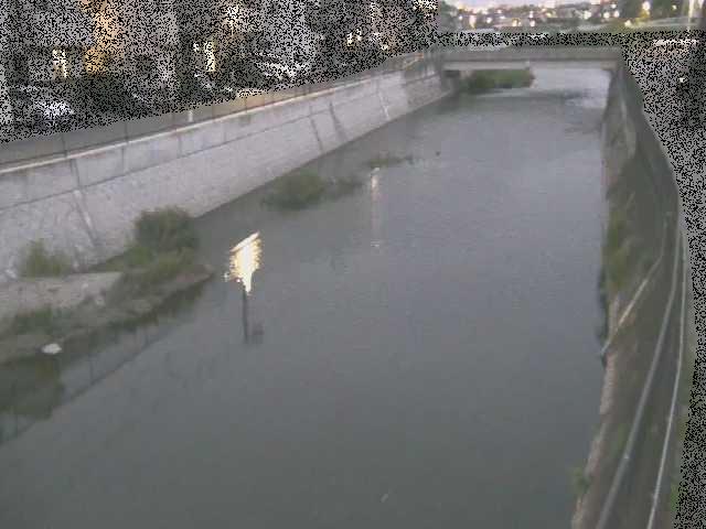 大山橋付近のカメラ画像