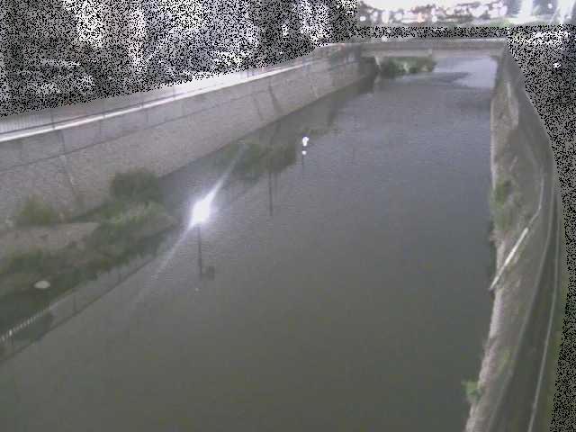 引地川 大山橋付近のカメラ画像