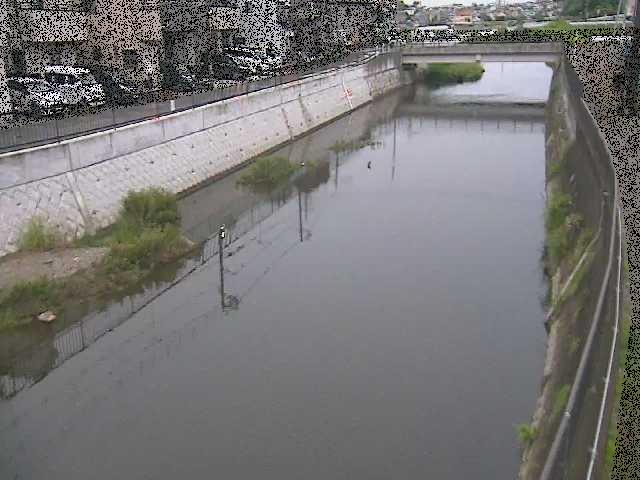 大山橋付近のカメラ画像