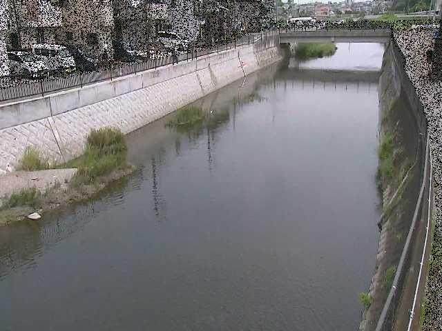 大山橋付近のカメラ画像