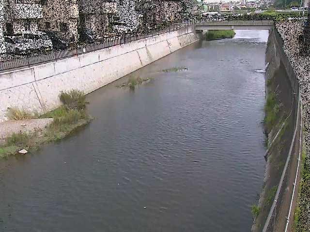 大山橋付近のカメラ画像