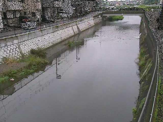 大山橋付近のカメラ画像