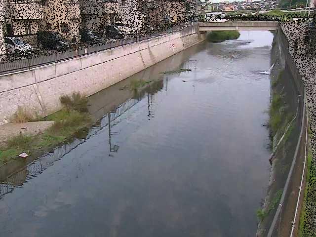 引地川 大山橋付近のカメラ画像