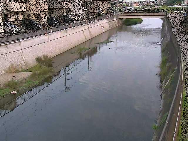 大山橋付近のカメラ画像