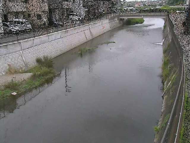 大山橋付近のカメラ画像