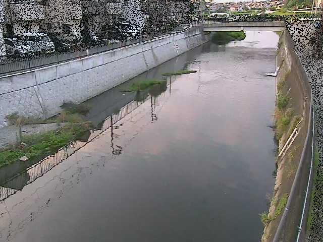 大山橋付近のカメラ画像
