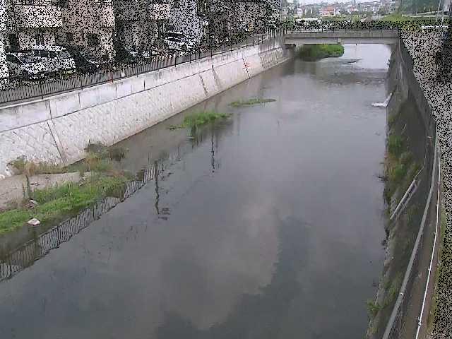 大山橋付近のカメラ画像