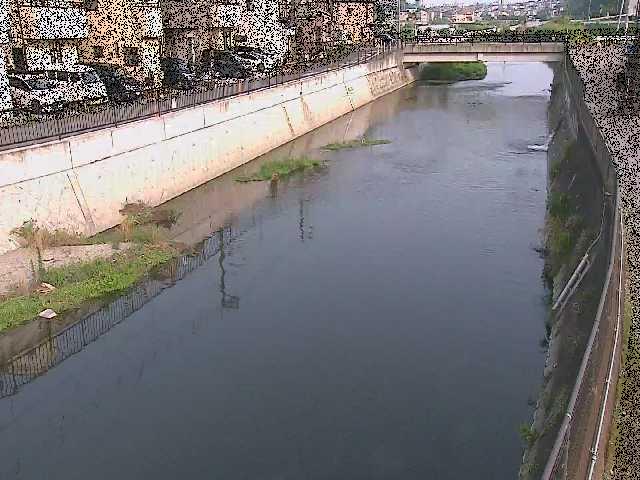 引地川 大山橋付近のカメラ画像