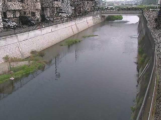 大山橋付近のカメラ画像