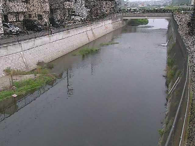 大山橋付近のカメラ画像