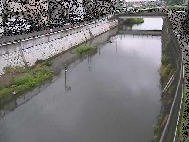 引地川 大山橋付近のカメラ画像