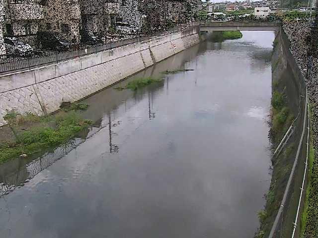 大山橋付近のカメラ画像
