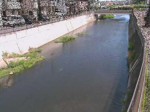 引地川 大山橋付近のカメラ画像