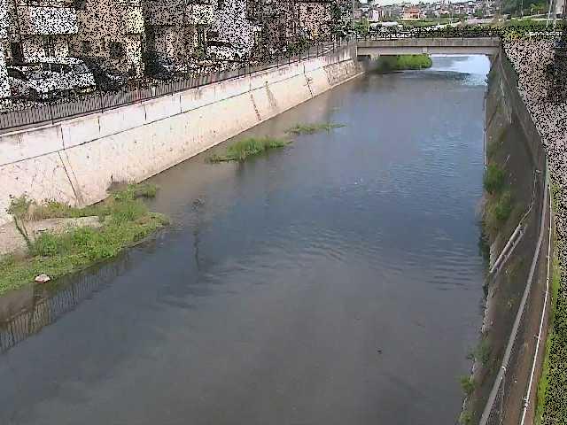大山橋付近のカメラ画像