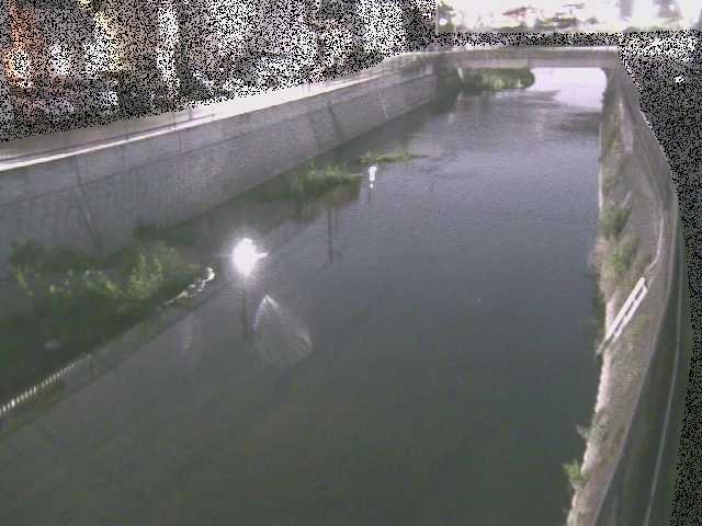 引地川 大山橋付近のカメラ画像