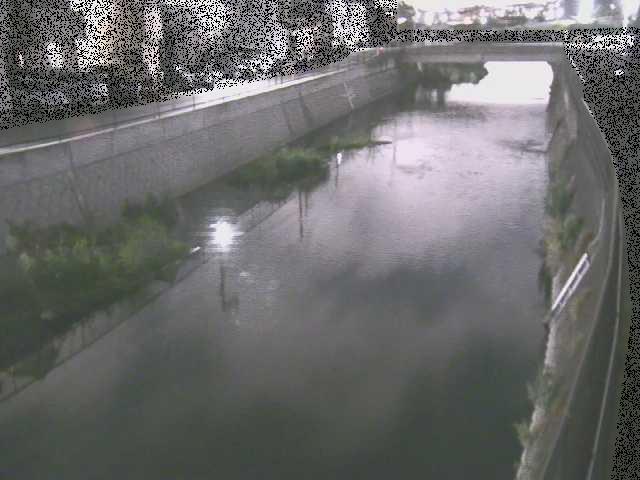 大山橋付近のカメラ画像