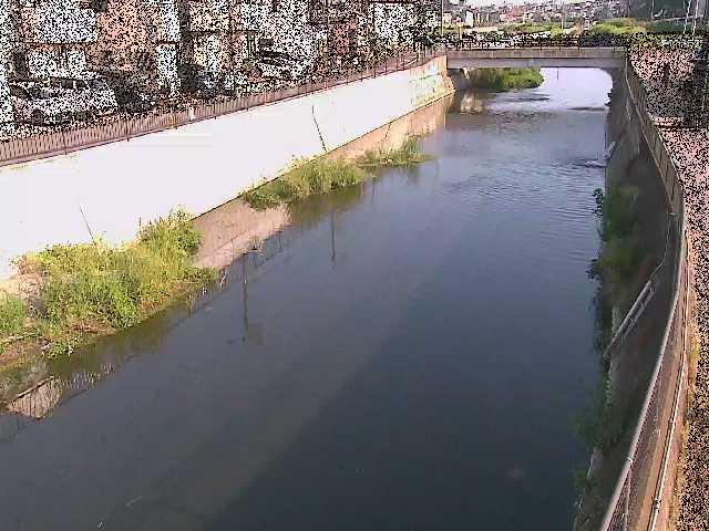 大山橋付近のカメラ画像
