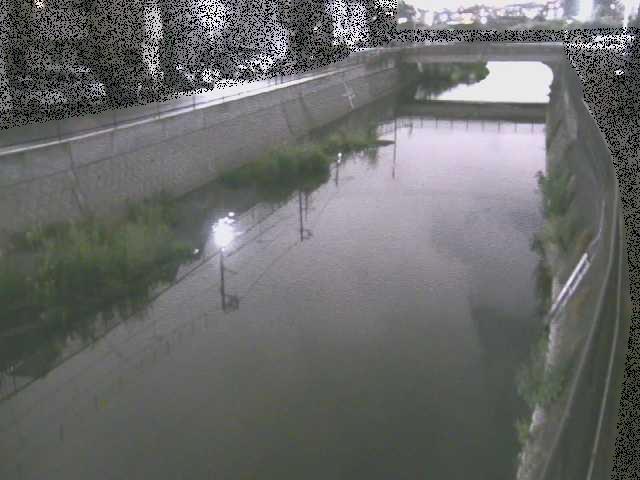 引地川 大山橋付近のカメラ画像