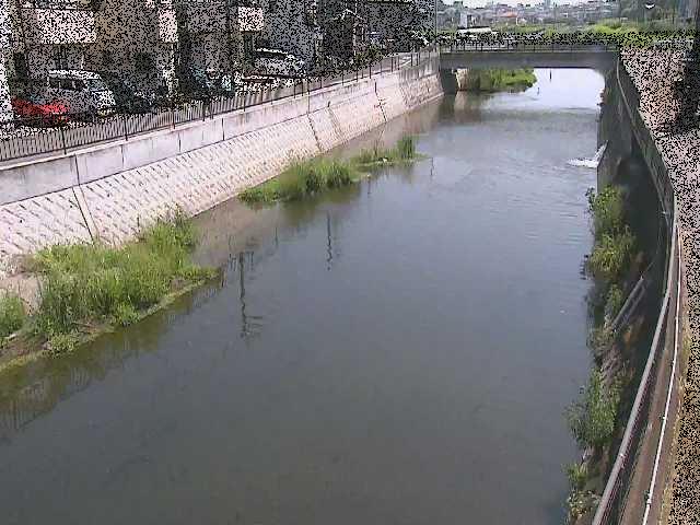 引地川 大山橋付近のカメラ画像