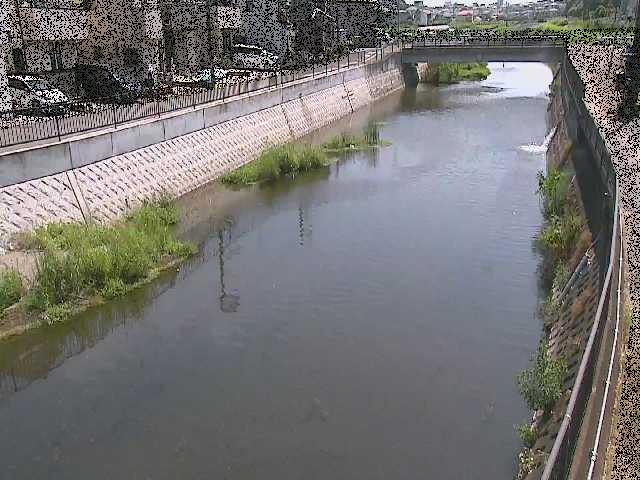 引地川 大山橋付近のカメラ画像