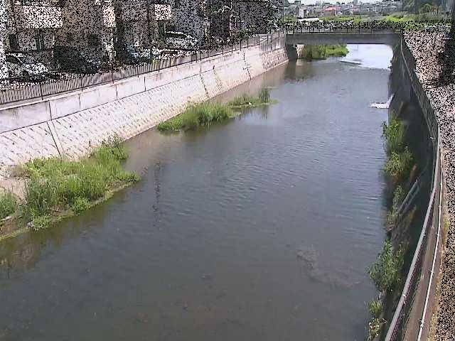 大山橋付近のカメラ画像