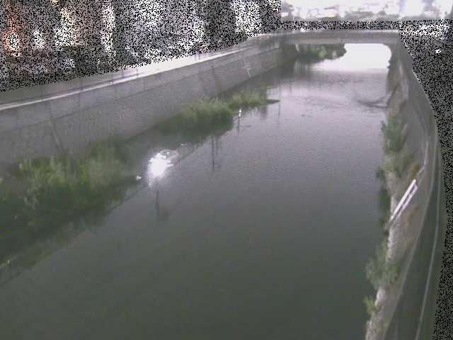 大山橋付近のカメラ画像