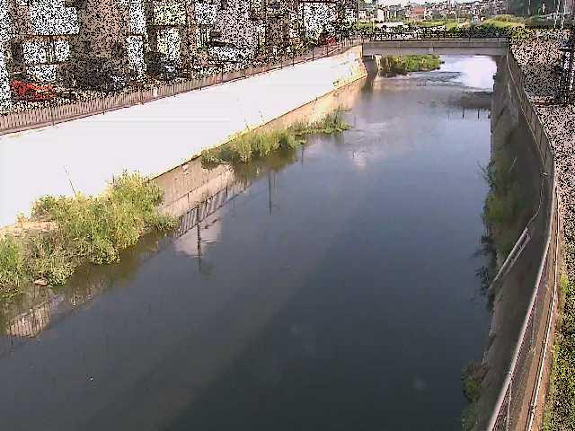 引地川 大山橋付近のカメラ画像