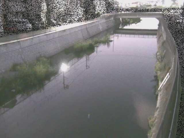 引地川 大山橋付近のカメラ画像