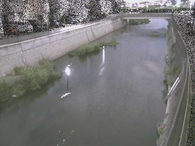 大山橋付近のカメラ画像