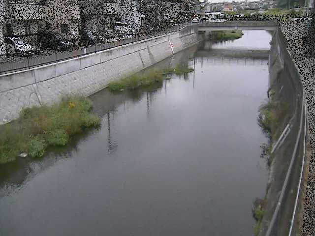 引地川 大山橋付近のカメラ画像
