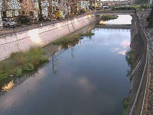 引地川 大山橋付近のカメラ画像
