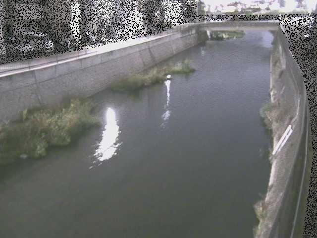 大山橋付近のカメラ画像