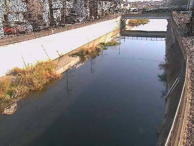大山橋付近のカメラ画像
