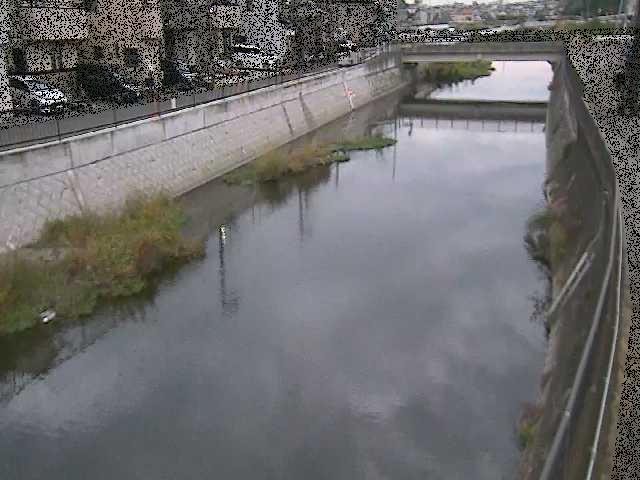 大山橋付近のカメラ画像