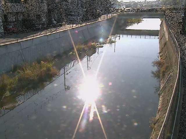 大山橋付近のカメラ画像