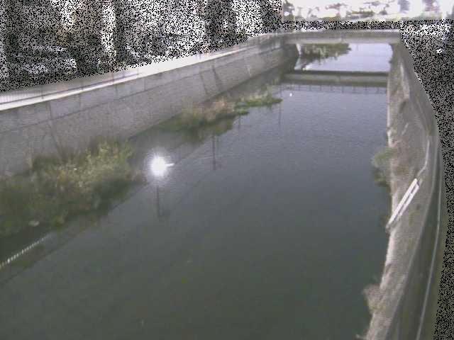 大山橋付近のカメラ画像