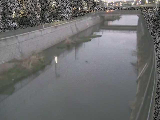 引地川 大山橋付近のカメラ画像