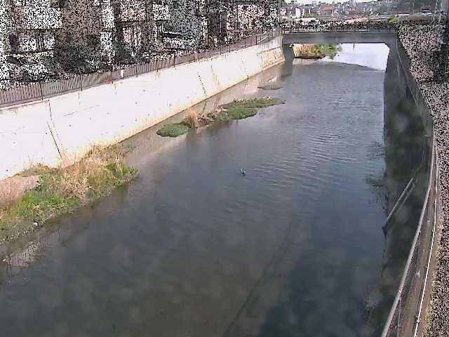 大山橋付近のカメラ画像