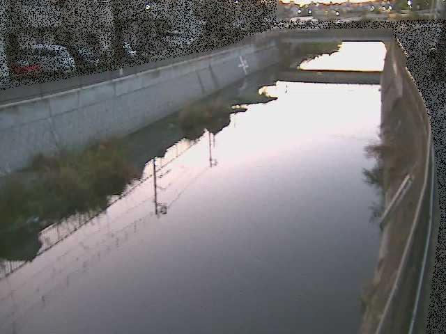 引地川 大山橋付近のカメラ画像