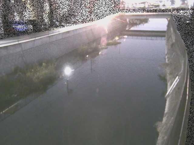 引地川 大山橋付近のカメラ画像